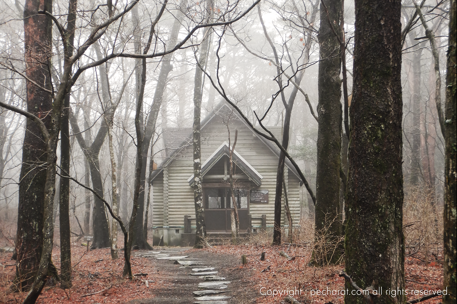 この写真は映画と無関係であり、霧島の観光写真です