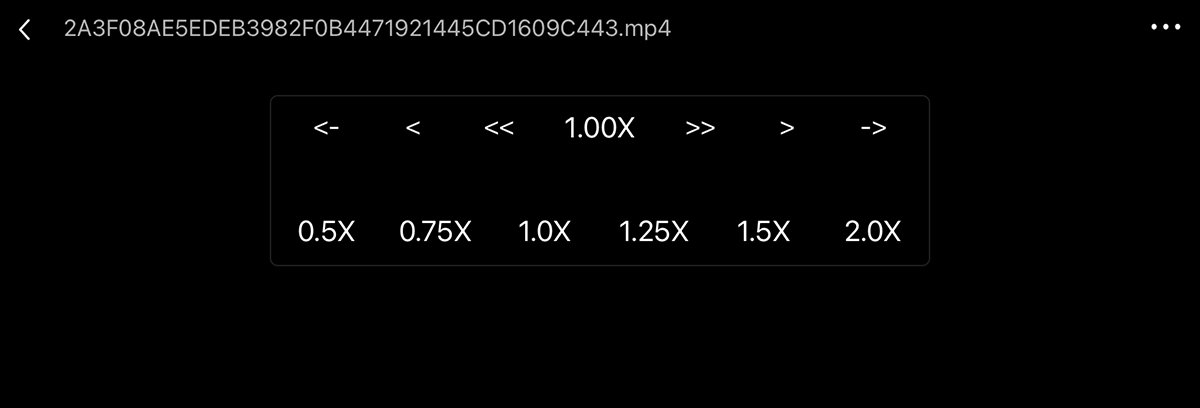 OPlayerHDLiteの再生速度
